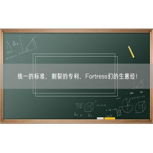 统一的标准，割裂的专利，Fortress们的生意经！